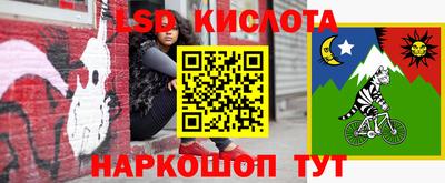 кокс Кингисепп